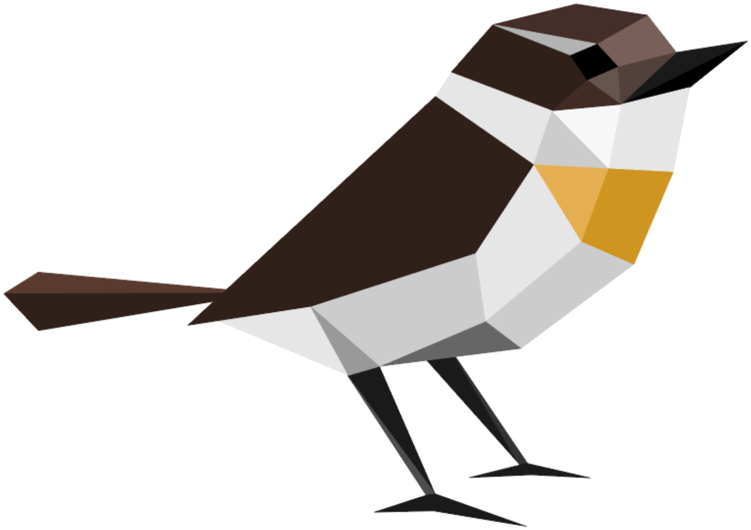 L'oiseau tec.tech